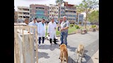 حملة لتحصين الكلاب الضالة (9)
