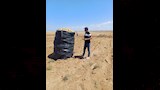 مكافحة عفن البطاطس (5)