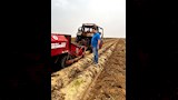 مكافحة عفن البطاطس (2)