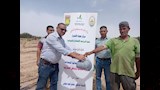 حقول إرشادية لزراعة عباد الشمس الزيتي بجنوب سيناء