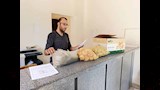 المعمل المركزي للمبيدات