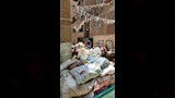 ضبط ١١ طنًا أدوية ومكملات غذائية وسلعًا منتهية الصلاحية بمخزن في إمبابة (18)