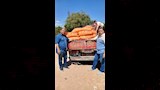 ضبط ١١ طنًا أدوية ومكملات غذائية وسلعًا منتهية الصلاحية بمخزن في إمبابة (12)