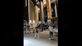 الاستعدادات النهائية لانتخابات نقابة الصحفيين (2)