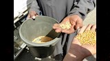 توريد القمح