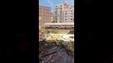 ُقب سيجارة وراء اشتعال النيران في مدرسة الزراعة بطنطا (3)