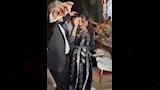 رقص لطيفة والمايسترو أمير عبدالمجيد (10)