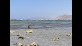 ظاهرة الجزر