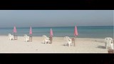 استقرار أمواج البحر في الإسكندرية (8)