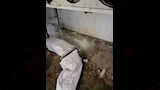 حملة صحية
