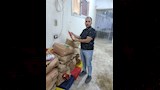 حملة صحية
