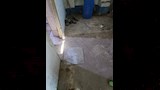 حملة صحية