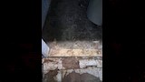 حملة صحية