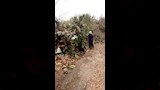 حريق بمزرعة مستعمرة الجذام بأبو زعبل (3)