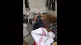صحة القليوبية تضبط 1.5 طن حلوى منتهية الصلاحية (1)