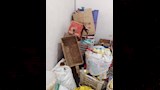صحة القليوبية تضبط 1.5 طن حلوى منتهية الصلاحية (4)