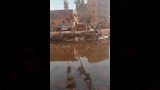 انتشال جثة غريق مجهول الهوية أمام قرية الفردوس بالمنوفية (4)
