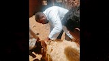 تحصين ماشية في أسوان