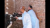 تحصين ماشية في أسوان