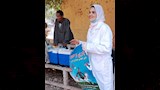 تحصين ماشية في أسوان