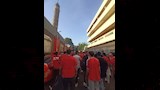 جماهير الأهلي