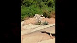انهيار جزئي بكوبري بديل خزان أسوان (4)