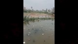 انسداد مواسير بحر ترسا يُغرق عشرات المنازل
