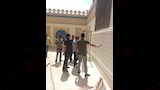 تطوير ضريح الشيخ الشعراوي (13)