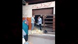 محافظ الدقهلية (7)