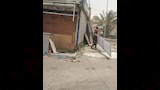 إزالة منافذ السلع تمهيدا لتطوير ميدان المحطة بدمنهور