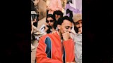 كزبرة بالكليب 
