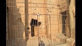 حكايات الذهب المحروس في بيت البِنَيَّة وسر الباب المغلق في جبل سوهاج