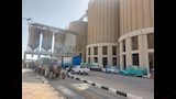 توريد قمح