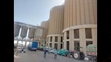 توريد قمح