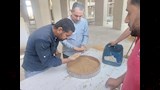 توريد قمح