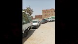 توريد القمح لصوامع المنيا