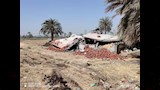 إزالة التعديات على أراضي الدولة والأراضي الزراعية بالمنيا