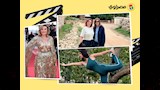 لقطات الفن 