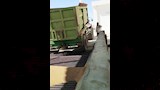توريد القمح 