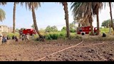 حريق نشب في كوم نخيل في قرية بالأقصر 