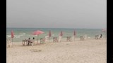 طقس مستقر على شواطئ الإسكندرية (7)