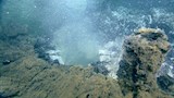 10 سجناء يفرون من سجن أميركي عبر فتحة خلف المرحاض