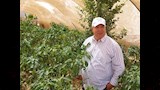 الشيخ محمد اغنم