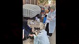 إطلاق 9 قوافل بيطرية علاجية مجانية في 5 محافظات (1)