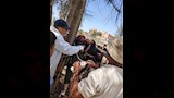 إطلاق 9 قوافل بيطرية علاجية مجانية في 5 محافظات (7)