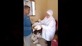 إطلاق 9 قوافل بيطرية علاجية مجانية في 5 محافظات (9)