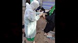 إطلاق 9 قوافل بيطرية علاجية مجانية في 5 محافظات (14)
