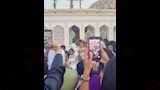 كتب كتاب شقيقة مايان السيد (2)