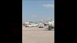 توريد 534 ألف طن قمح لمواقع التخزين بالشرقية (1)