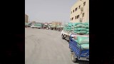 توريد 375 ألف طن قمح لصوامع المنيا -صور